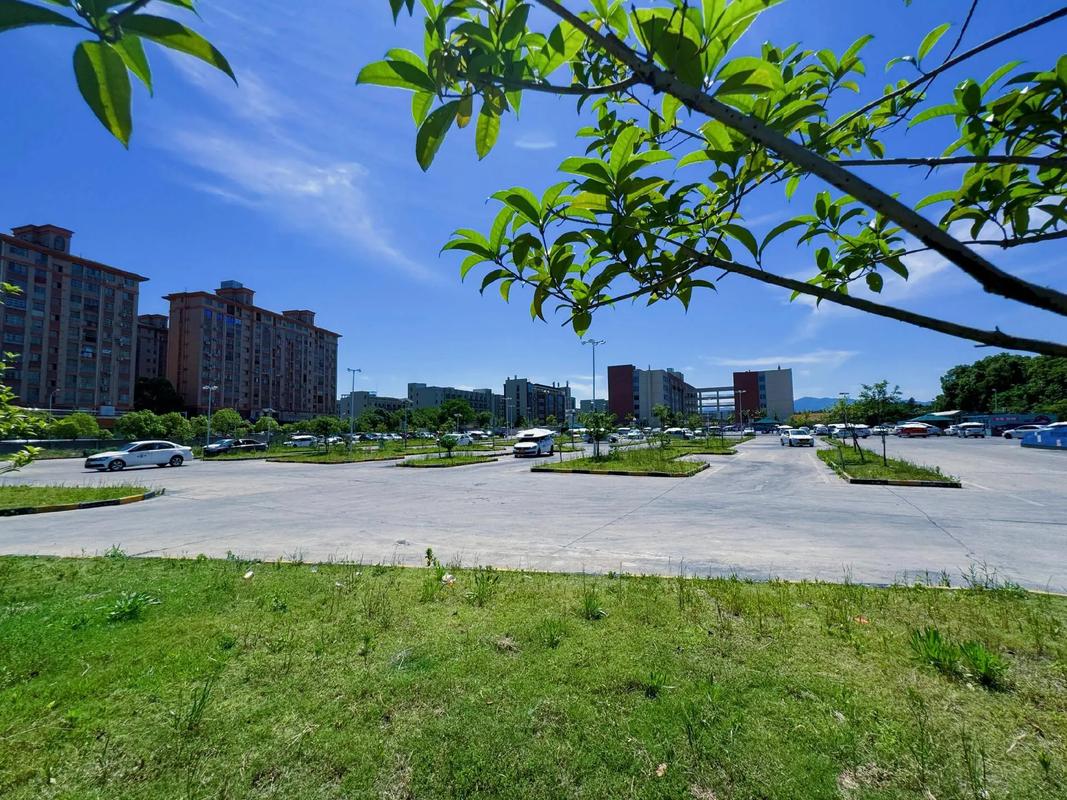 为什么驾校故意让学员考不过